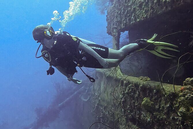 2 guided shore dives in Curacao - Key Points