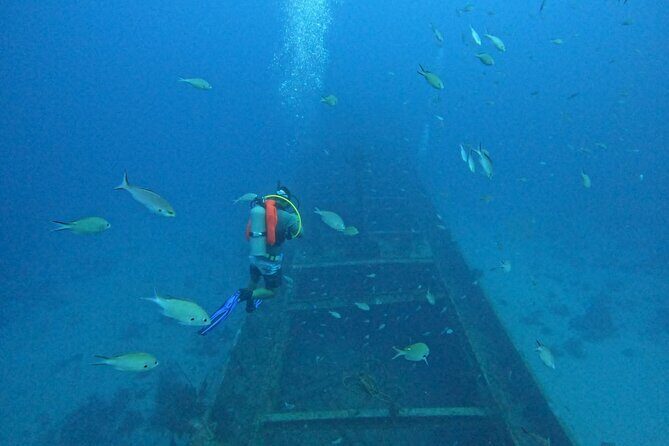 2 guided shore dives in Curacao - The Experience: What to Expect