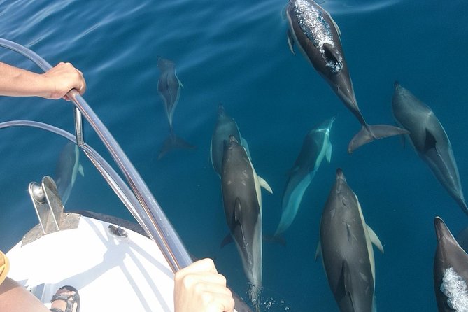 2 H Estepona Bay Tour - Additional Tour Information