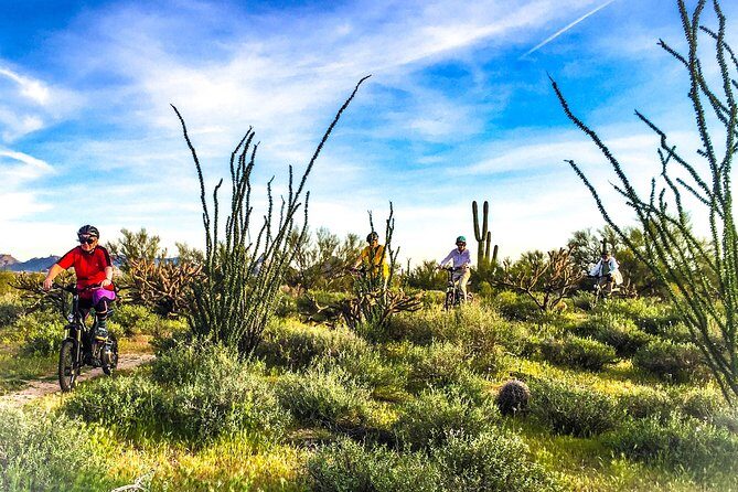 2-Hour Arizona Desert Guided E-Bike Tour - The Sum Up
