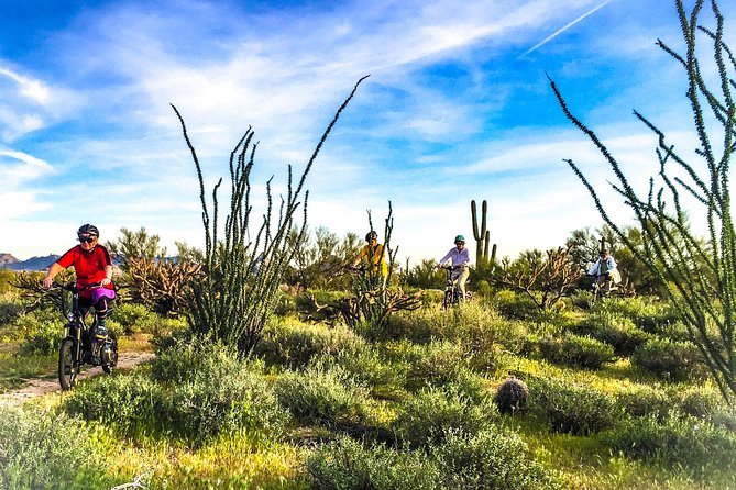 2-Hour Arizona Desert Guided E-Bike Tour - Tour Information