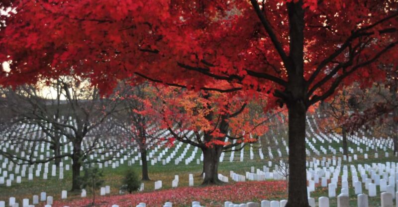 2-Hour Arlington Cemetery Morning Guided Walking Tour - Key Points