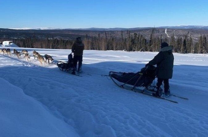 2-Hour Basic Dog Mushing School (with Transportation) - How the Tour Runs: Step-by-Step