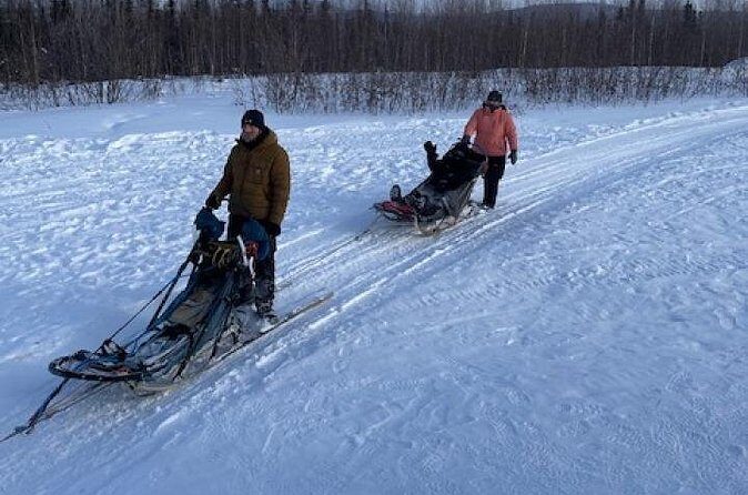2-Hour Basic Dog Mushing School (with Transportation) - FAQ: Practical Questions About the Mushing School