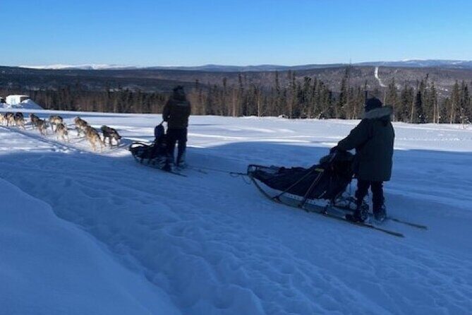 2-Hour Basic Dog Mushing School (with Transportation) - Final Words