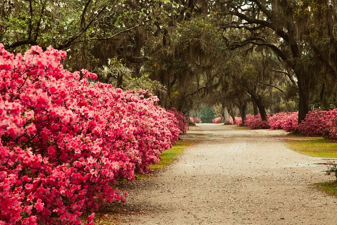 2-Hour Bonaventure Cemetery Walking Tour - Guest Testimonials