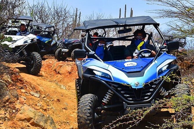 2-Hour Buggy Adventure Tour in Curacao - What to Expect from the 2-Hour Buggy Adventure Tour