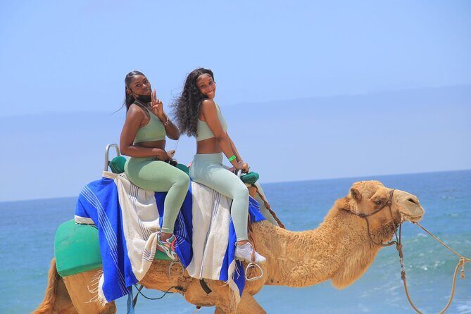 2-Hour Camel Ride Beach and Desert Adventure Experience - Is It Worth the Price?