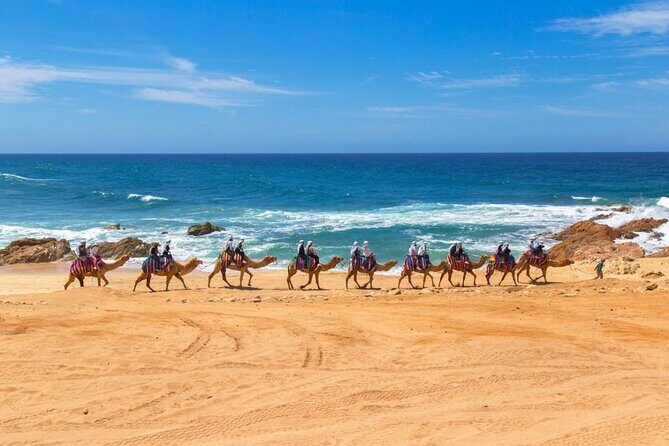 2-Hour Camel Ride Beach and Desert Adventure Experience - Practical Details