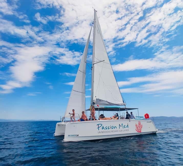 2-hour catamaran discovery tour of the Giens Peninsula and Porquerolles - An Overview of the Tour Experience