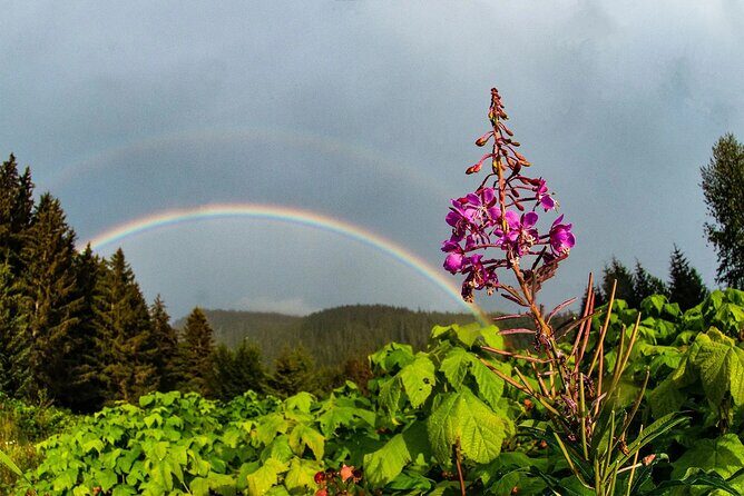 2 Hour Chichagof Island Guided Driving Tour - Key Points