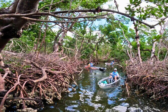 2 Hour Clear Kayak Tour at Emerson Point Preserve - FAQs
