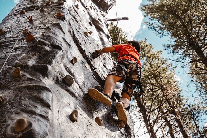 2 Hour Cypress Hills Zipline Afternoon Adventure - The Sum Up