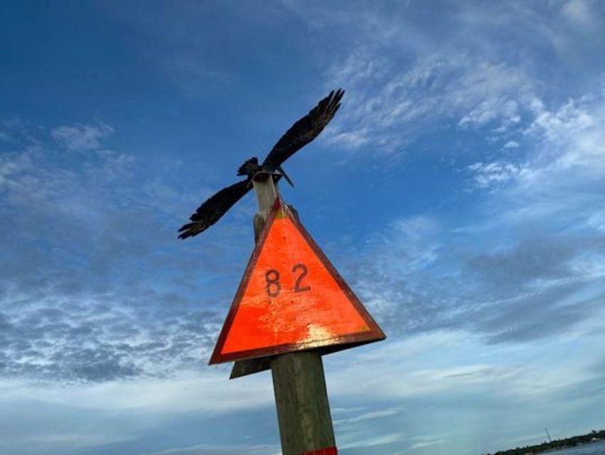 2-Hour Dolphin and Nature Eco Tour From Orange Beach - Key Points