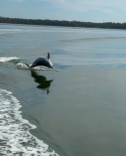 2-Hour Dolphin and Nature Eco Tour From Orange Beach - Opportunities to See Wildlife