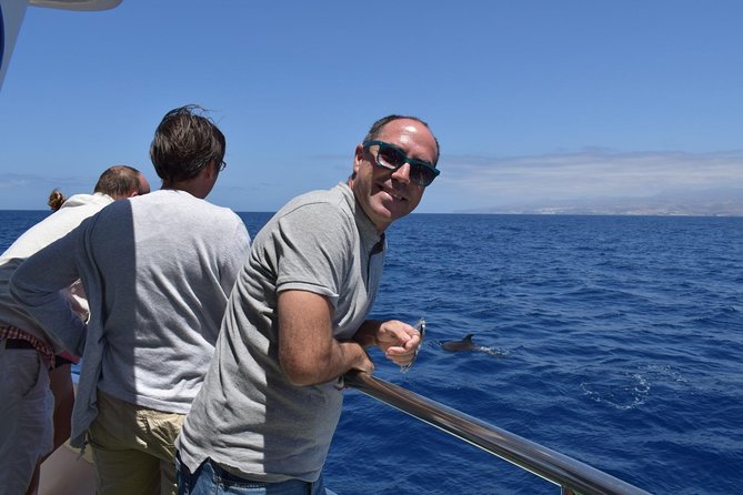 2-Hour Dolphin and Whale Watching in Gran Canaria - Whats Included in the Tour