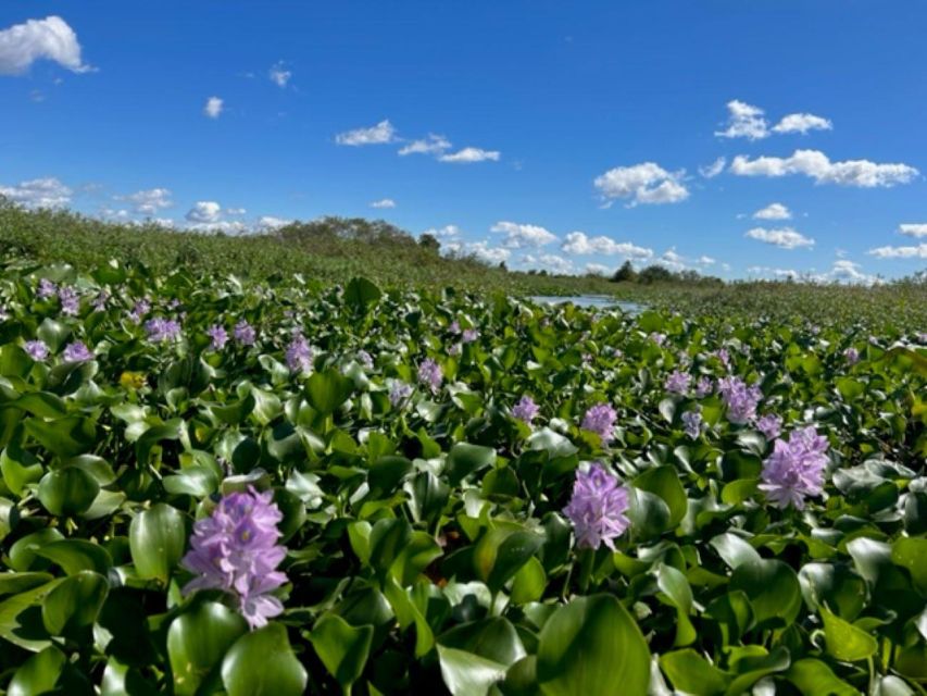 2 Hour Eco Tour - Tour Amenities