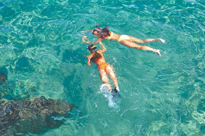 2-Hour Excursion in a Catamaran Around the Bay of Mallorca - Traveler Reviews and Ratings