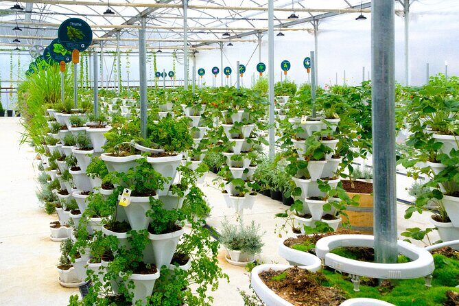 2-Hour Farm Experience in Gateway Yarra Valley - Key Points  