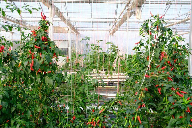 2-Hour Farm Experience in Gateway Yarra Valley - Detailed Itinerary Breakdown