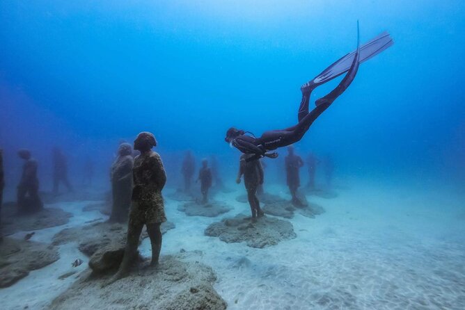 2-Hour Freediving Activity at the Atlantic Museum - The Freediving Activity