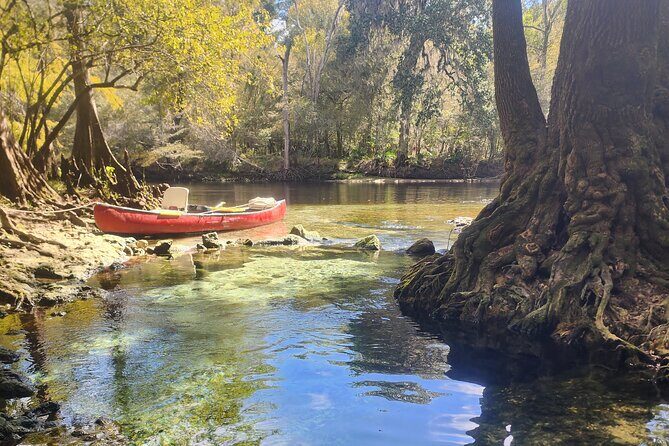 2 Hour Guided Clear Glass Bottom Kayak Tour Gilchrist Blue Spring - A Closer Look at the Gilchrist Blue Spring Kayak Tour