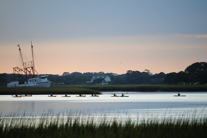 2-Hour Guided Kayak Eco Tour in Charleston - Recap