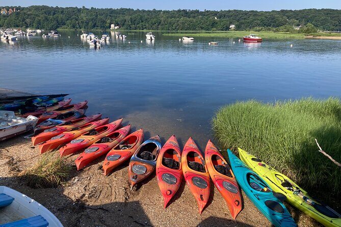 2 Hour Guided Kayak Tour in Cold Spring Harbor NY - Who Should Consider This Tour?