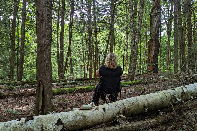 2-Hour Guided Private Forest Bathing Experience Lenox - About the Lenox Experience