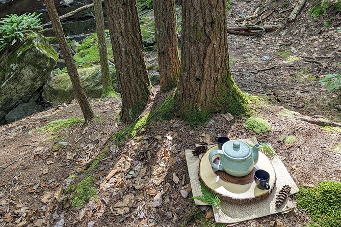 2-Hour Guided Private Forest Bathing Experience Lenox - Meeting Point and Parking