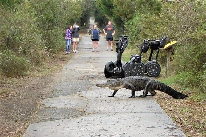 2-Hour Guided Segway Tour of Huntington Beach State Park in Myrtle Beach - Frequently Asked Questions