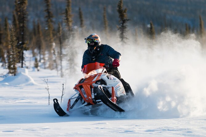 2-Hour Guided Snowmobile Tour in Fairbanks - Customer Experiences