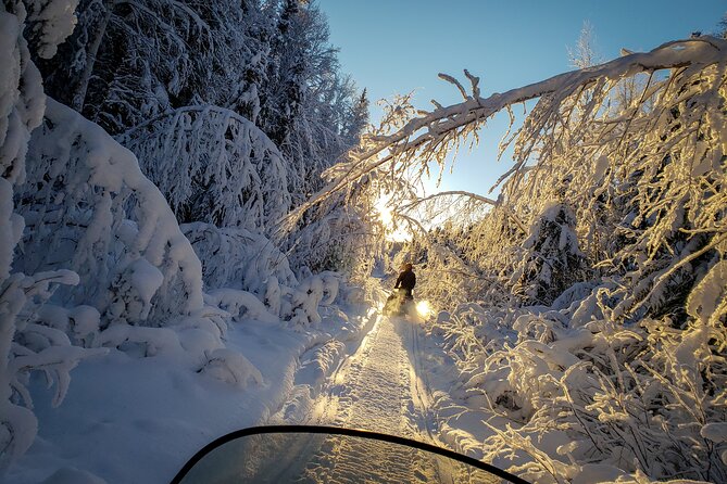 2-Hour Guided Snowmobile Tour in Fairbanks - Cancellation Policy