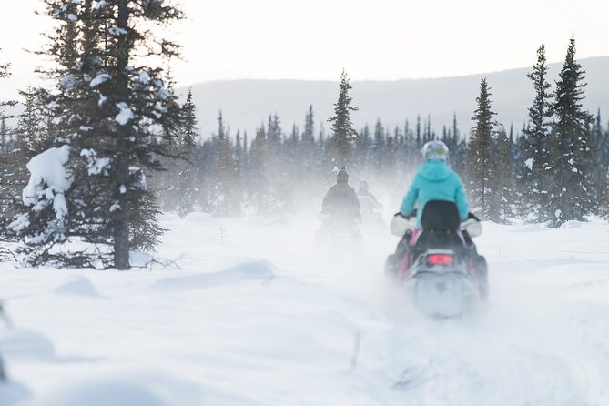 2-Hour Guided Snowmobile Tour in Fairbanks - Additional Tour Options