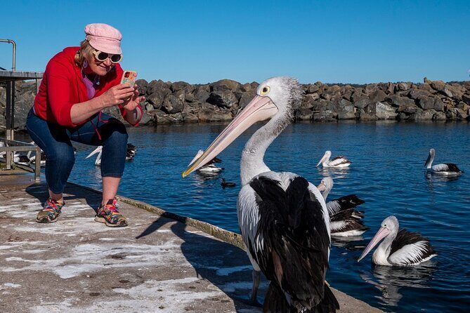 2 Hour Highlights of Eden Tour - A Closer Look at the 2 Hour Highlights of Eden Tour