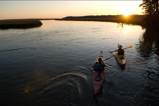 2-Hour Hilton Head Guided Kayak Nature Tour - Frequently Asked Questions