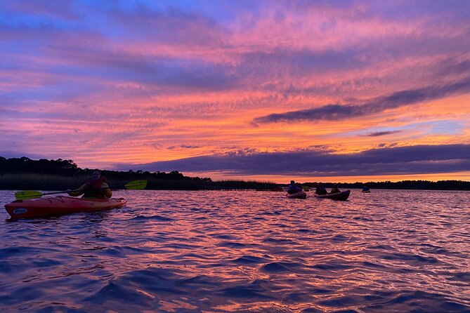2-Hour Hilton Head Guided Kayak Nature Tour - Recap