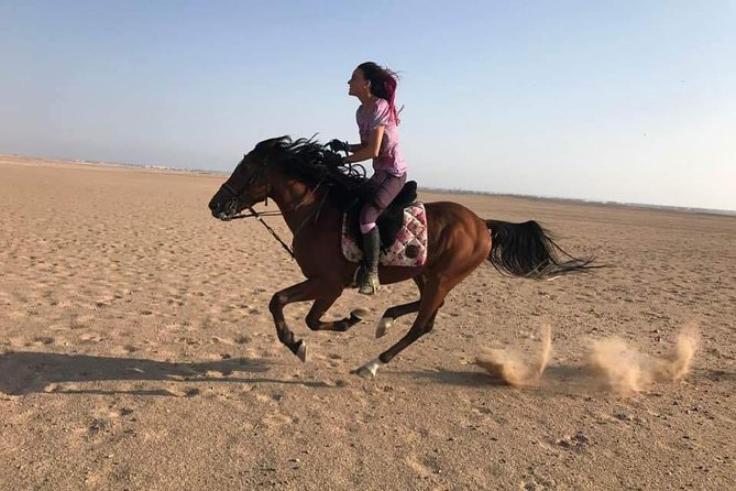 2-Hour Horse Riding Adventure on The Sea and Desert in Hurghada - Safety and Equipment