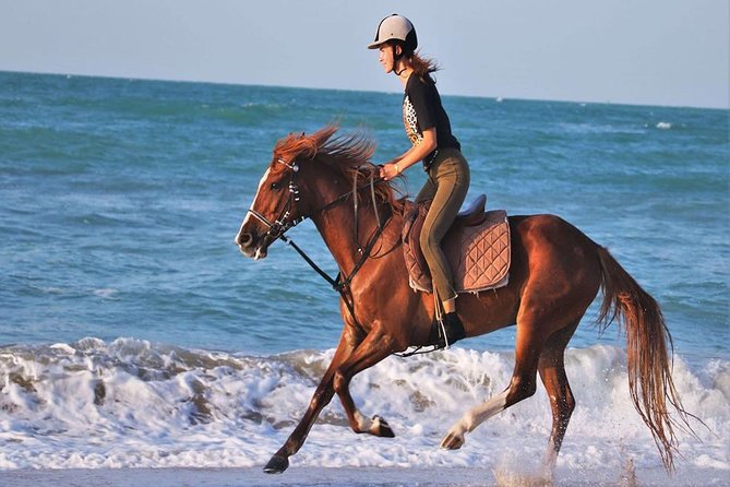 2-Hour Horse Riding Adventure on The Sea and Desert in Hurghada - Preparing for the Adventure