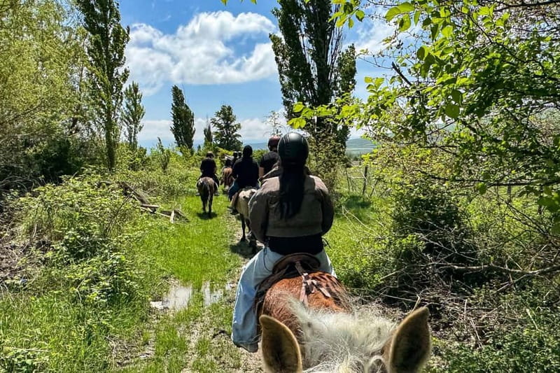 2-hour horse riding tour at Palomino Ranch - Discovering the 2-hour Horse Riding Tour at Palomino Ranch