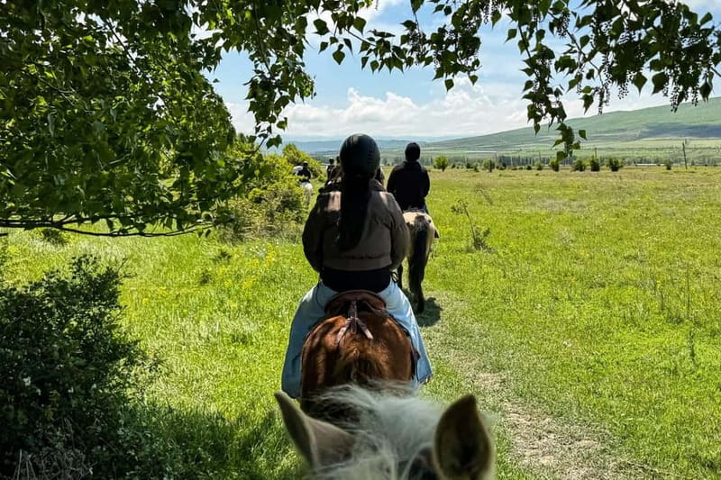 2-hour horse riding tour at Palomino Ranch - The Itinerary: What to Expect