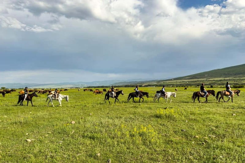 2-hour horse riding tour at Palomino Ranch - The Sum Up