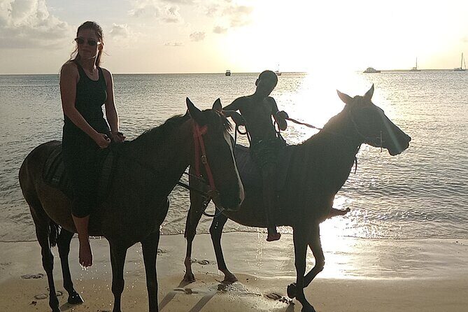 2 Hour Horseback Riding Sunset Tour with Dore's Riding Stable - The Practical Details
