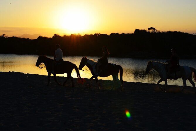 2-Hour Horseback Riding Tour at Sunset from Punta Cana - Key Points