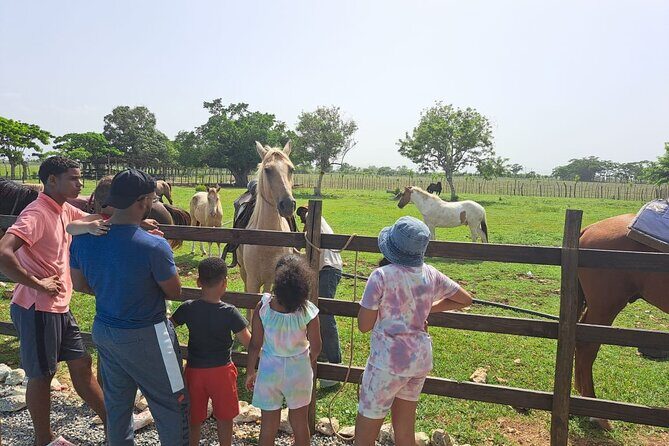 2-Hour Horseback Riding Tour at Sunset from Punta Cana - Practical Details and Tips