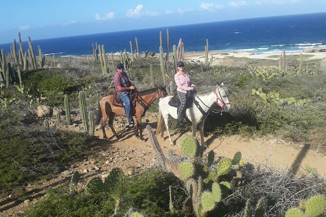 2-Hour Horseback Riding Tour to Little Natural Bridge in Aruba - Who Should Consider This Tour?