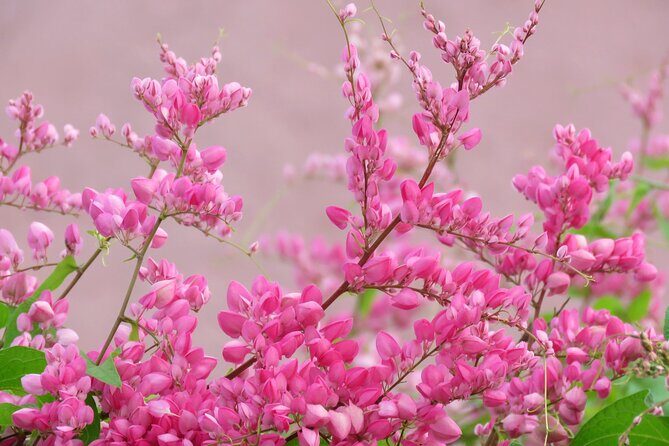2 Hour Individual Island South Tour on Bonaire for 1 - 12 persons - A Deep Dive into the Bonaire 2-Hour Tour