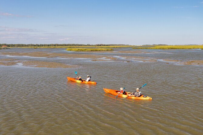 2 Hour Kayak Rental - Single or Tandem Kayak - What to Expect on Your Kayak Adventure