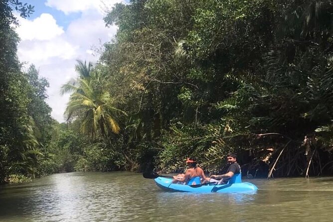2-Hour Kayak Tour in Quepos - Included Amenities