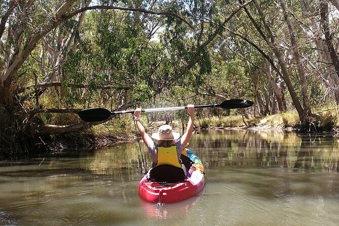 2-Hour Kayaking Experience in Barossa Valley - Why It’s Worth Considering